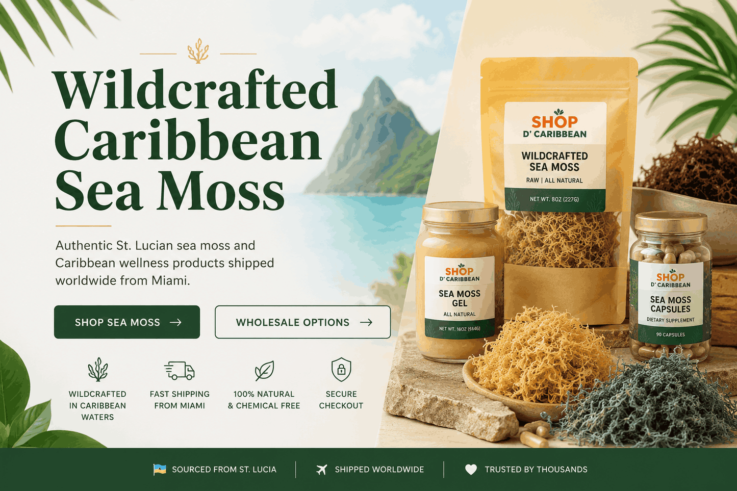 shopdcaribbean