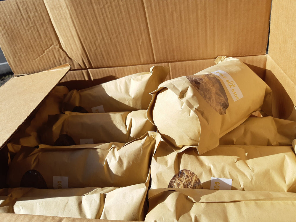 Wholesale Sea Moss 100 lbs Special freeshipping - shopdcaribbean