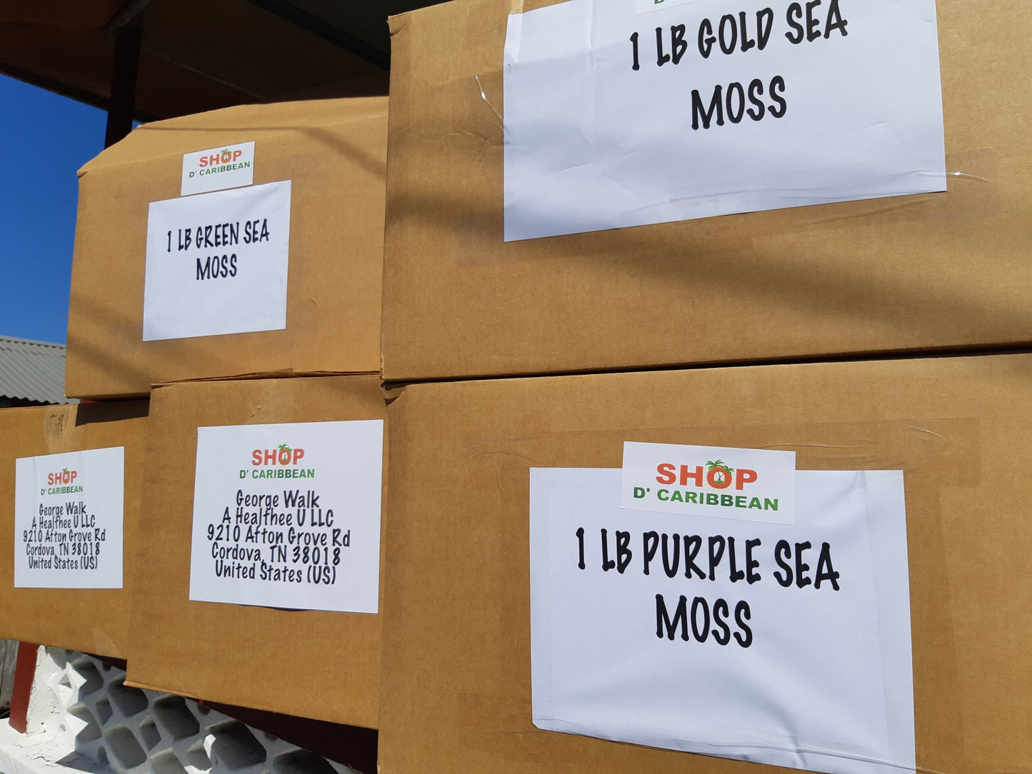 
                  
                    Wholesale Sea Moss 50 lbs freeshipping - shopdcaribbean
                  
                