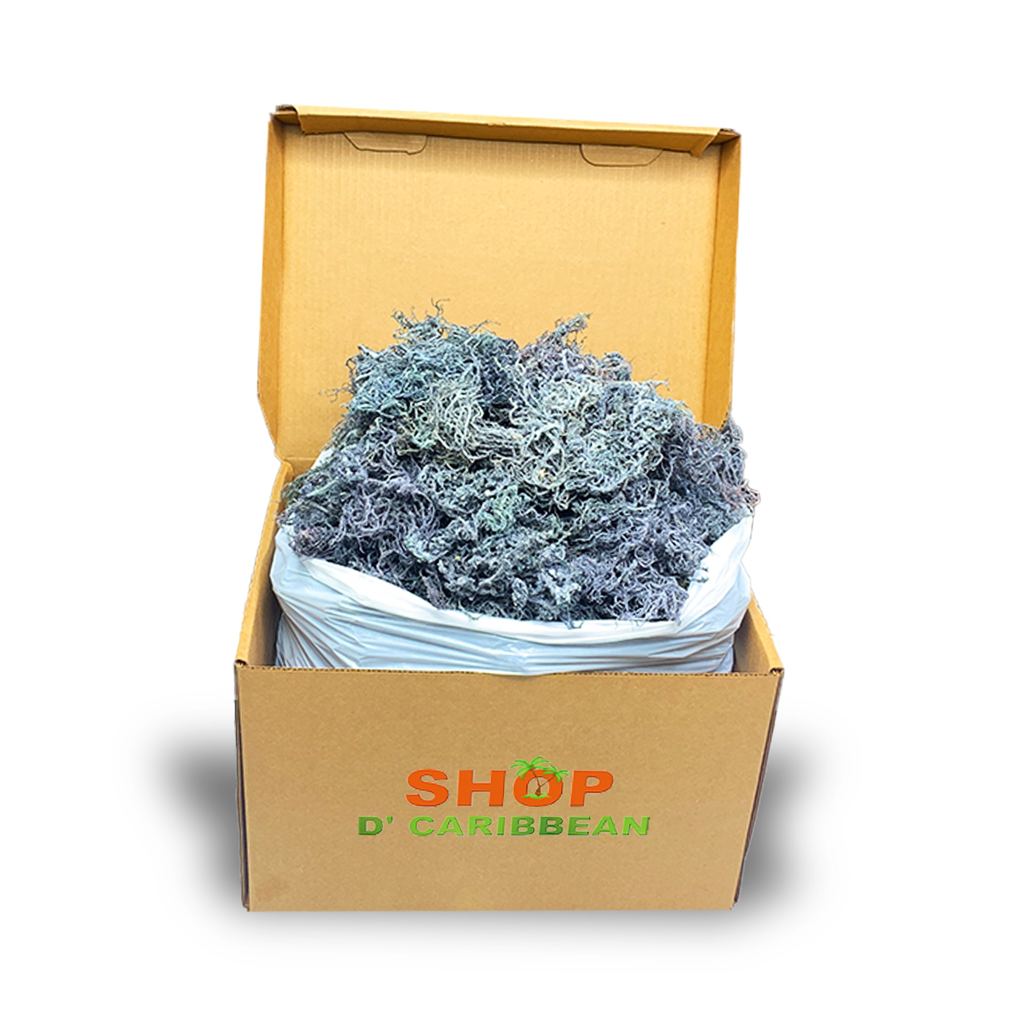 Wholesale Green Sea Moss