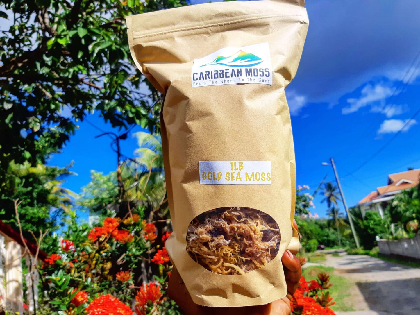 St Lucia Sea Moss 16 oz freeshipping - shopdcaribbean