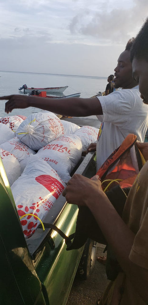 
                  
                    Wholesale Sea Moss 50 lbs freeshipping - shopdcaribbean
                  
                