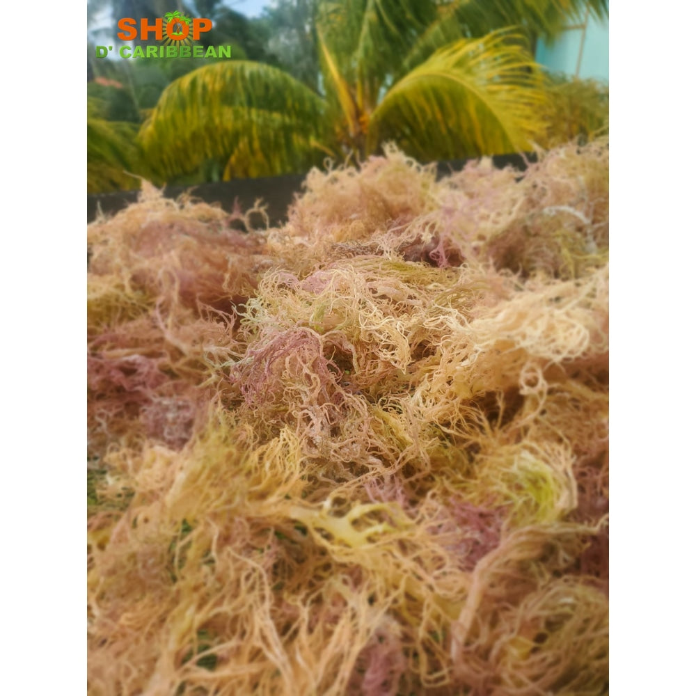 Wholesale Full Spectrum Sea Moss freeshipping - shopdcaribbean